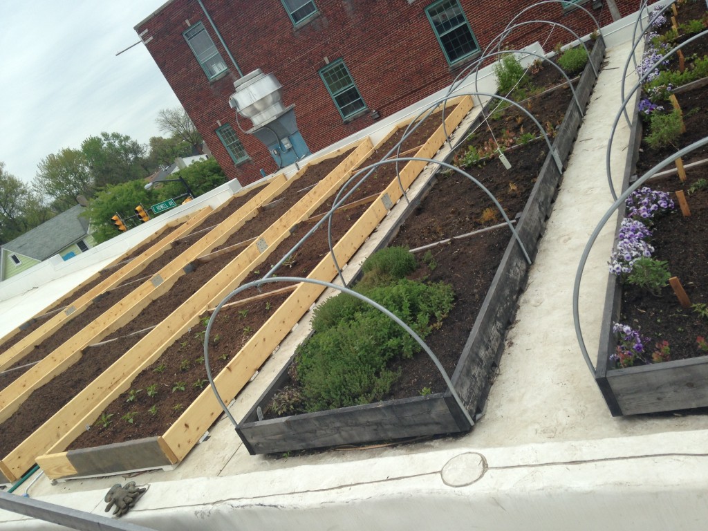 Courtesy Evening Star Cafe