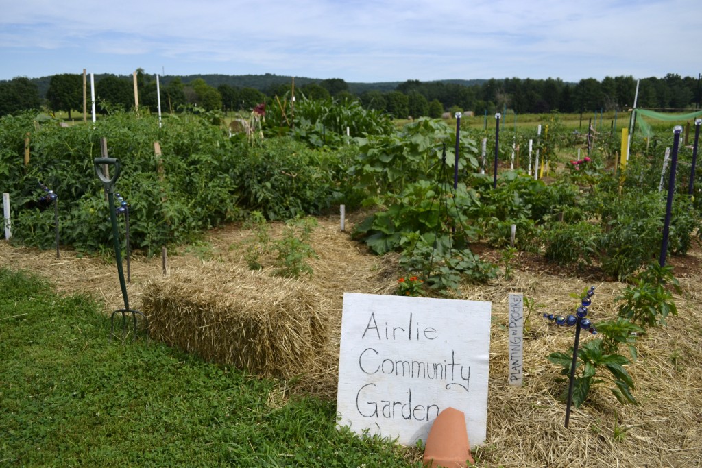 community_garden Courtesy Airlie