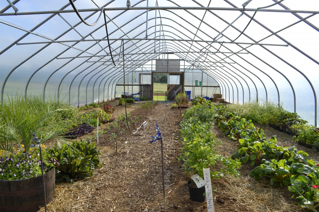 hoophouse Courtesy Airlie